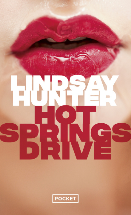 Knjiga Hot Springs Drive Lindsay Hunter