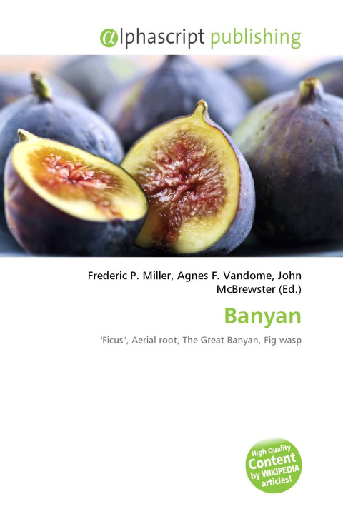 Kniha Banyan Agnes F. Vandome