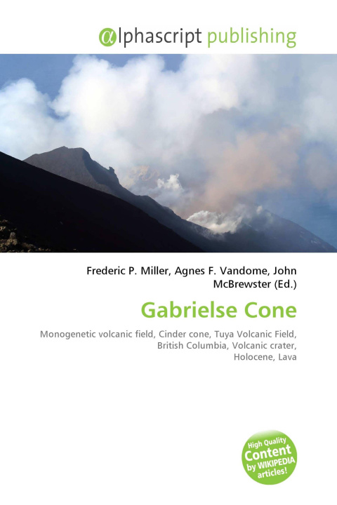 Kniha Gabrielse Cone Agnes F. Vandome