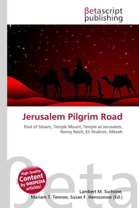 Kniha Jerusalem Pilgrim Road Mariam T. Tennoe