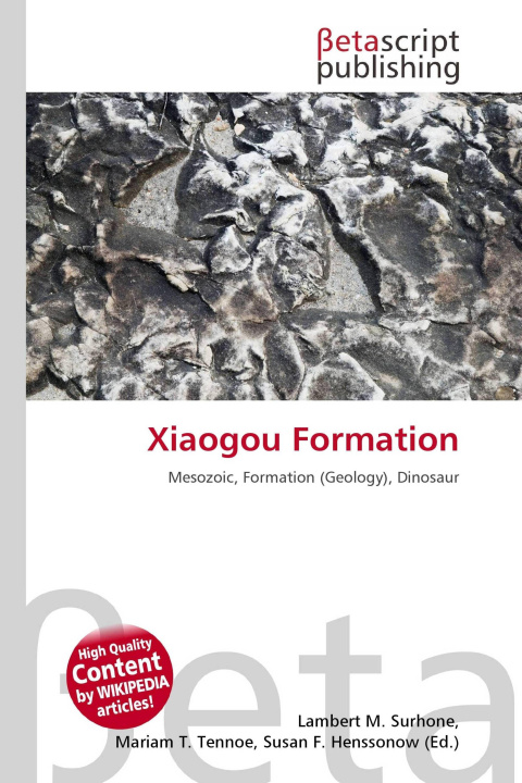 Knjiga Xiaogou Formation Miriam T. Timpledon