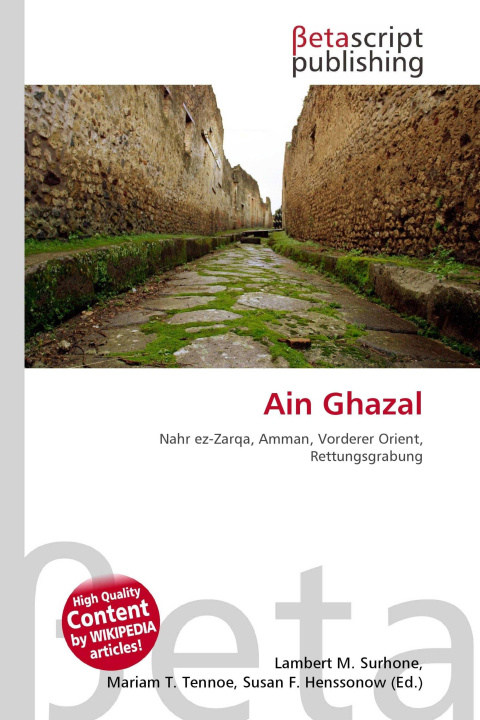 Kniha Ain Ghazal Miriam T. Timpledon