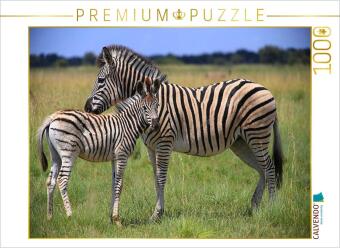 Hra/Hračka CALVENDO Puzzle Zebras | 1000 Teile Lege-Größe 64x48cm Foto-Puzzle für glückliche Stunden Calvendo