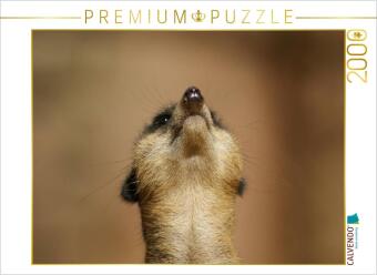 Hra/Hračka CALVENDO Puzzle Erdmännchen - Zusammen sind wir stark | 2000 Teile Lege-Größe 90x67cm Foto-Puzzle für glückliche Stunden Calvendo