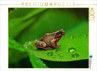 Hra/Hračka CALVENDO Puzzle Grasfrosch | 1000 Teile Lege-Größe 64x48cm Foto-Puzzle für glückliche Stunden Calvendo