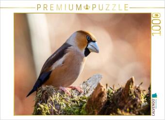 Hra/Hračka CALVENDO Puzzle Kernbeisser | 1000 Teile Lege-Größe 64x48cm Foto-Puzzle für glückliche Stunden Calvendo
