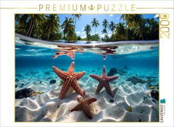 Hra/Hračka CALVENDO Puzzle Seesterne - Unterwasser mit Palmen | 2000 Teile Lege-Größe 90x67cm Foto-Puzzle für glückliche Stunden Calvendo