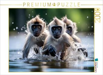 Hra/Hračka CALVENDO Puzzle Die drei Affen | 2000 Teile Lege-Größe 90x67cm Foto-Puzzle für glückliche Stunden Calvendo