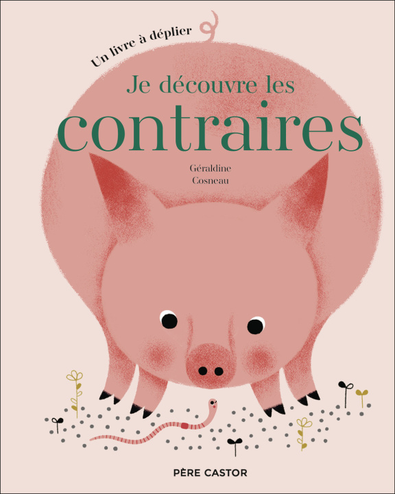Knjiga Je découvre les contraires Cosneau