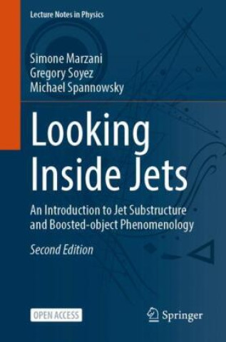 Könyv Looking Inside Jets Simone Marzani