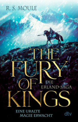Kniha The Fury of Kings R.S. Moule