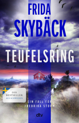 Kniha Teufelsring Frida Skybäck