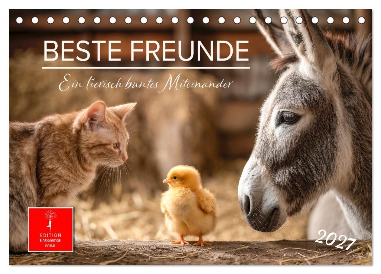 Kalendár/Diár Beste Freunde - ein tierisch buntes Miteinander (Tischkalender 2027 DIN A5 quer), CALVENDO Monatskalender Calvendo
