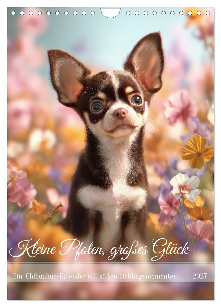 Kalendár/Diár Kleine Pfoten, großes Glück (Wandkalender 2027 DIN A4 hoch), CALVENDO Monatskalender Calvendo