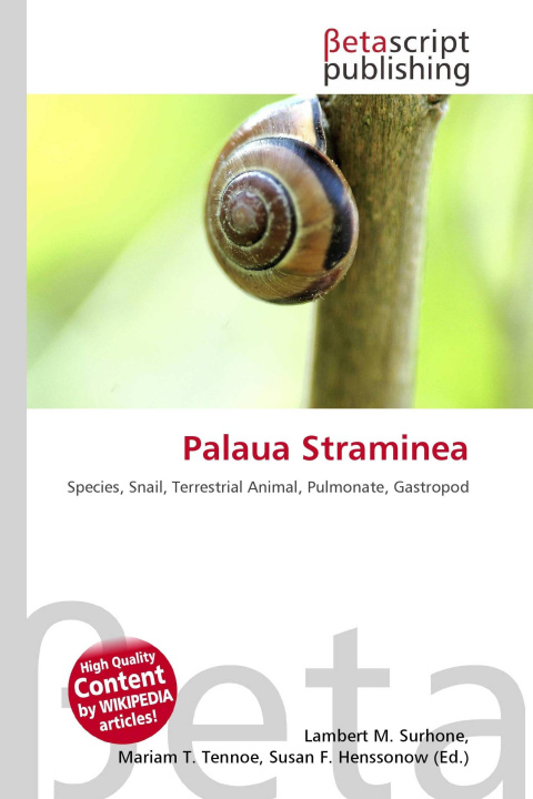 Kniha Palaua Straminea Mariam T. Tennoe