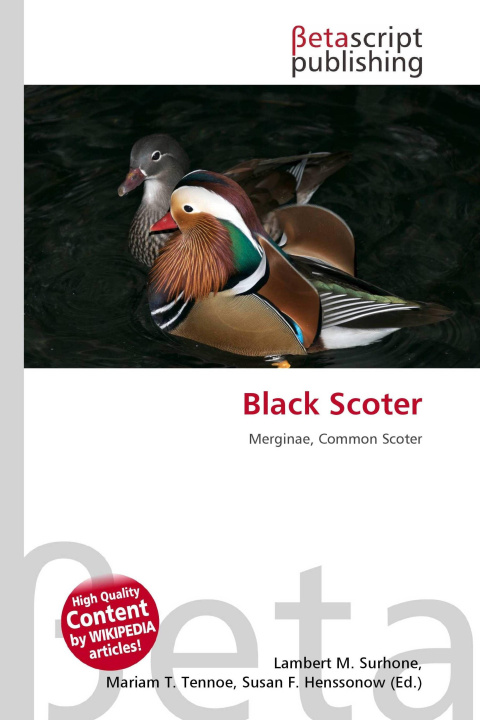 Kniha Black Scoter Mariam T. Tennoe