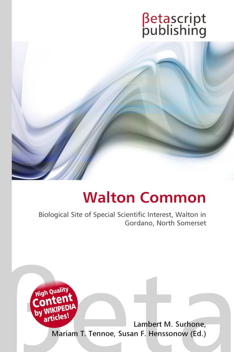 Kniha Walton Common Mariam T. Tennoe