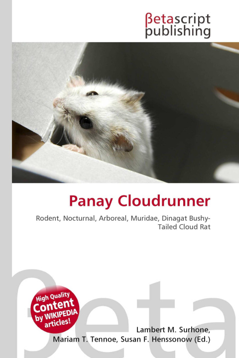 Kniha Panay Cloudrunner Mariam T. Tennoe