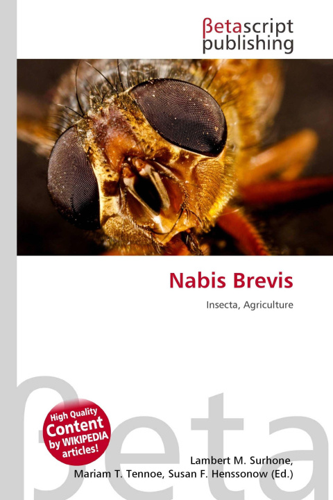Kniha Nabis Brevis Mariam T. Tennoe