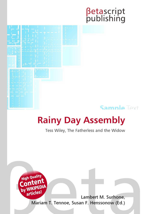 Knjiga Rainy Day Assembly Mariam T. Tennoe