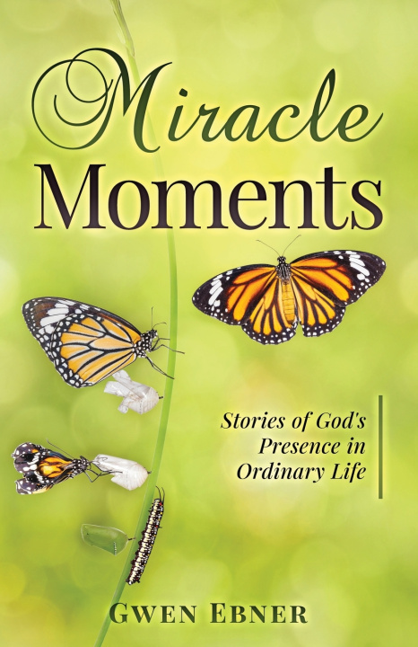 Kniha Miracle Moments Gwen Ebner