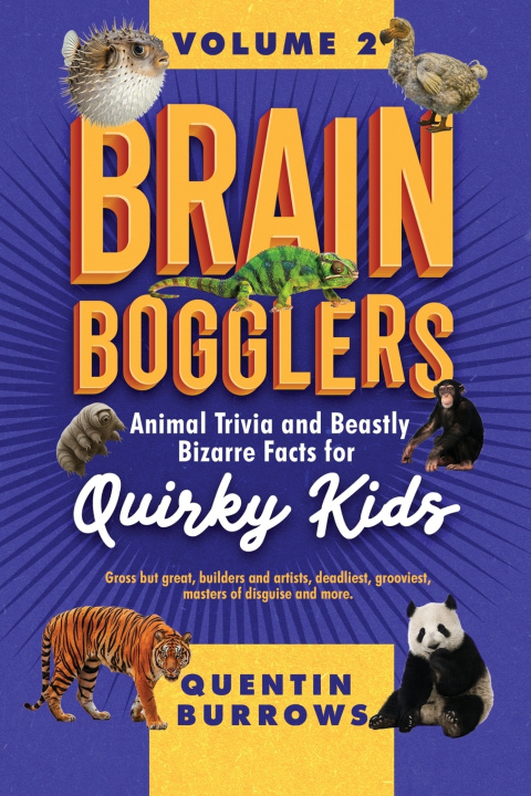 Kniha Brain Bogglers Quentin Burrows