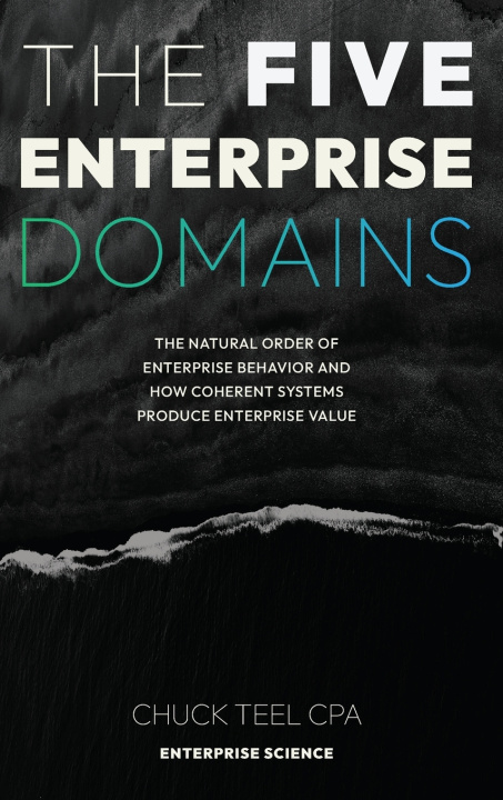 Kniha The Five Enterprise Domains Chuck Teel CPA