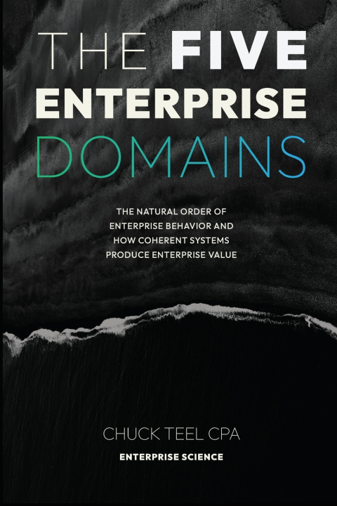 Knjiga The Five Enterprise Domains Chuck Teel CPA