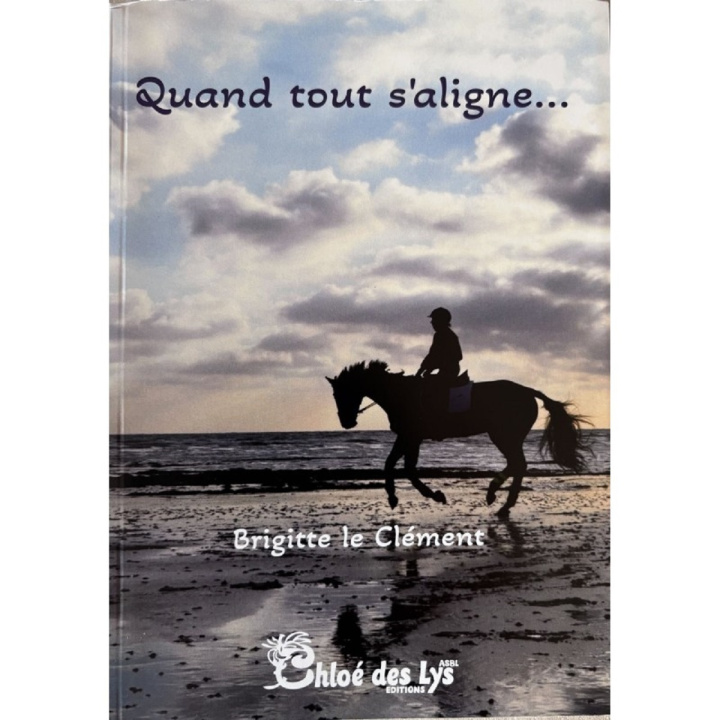 Kniha Quand tout s'aligne… le Clément