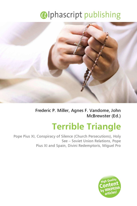 Kniha Terrible Triangle Agnes F. Vandome