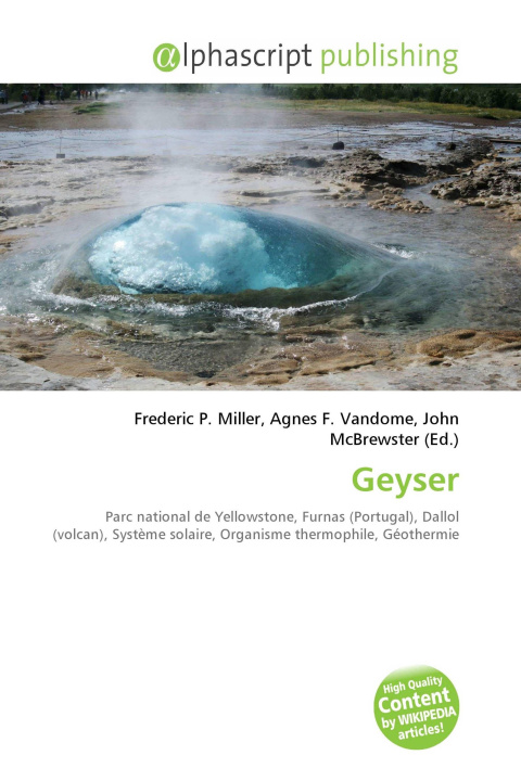 Kniha Geyser Agnes F. Vandome