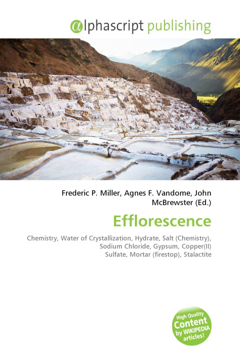 Kniha Efflorescence Agnes F. Vandome