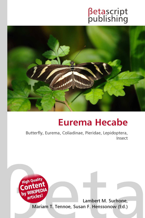 Kniha Eurema Hecabe Mariam T. Tennoe