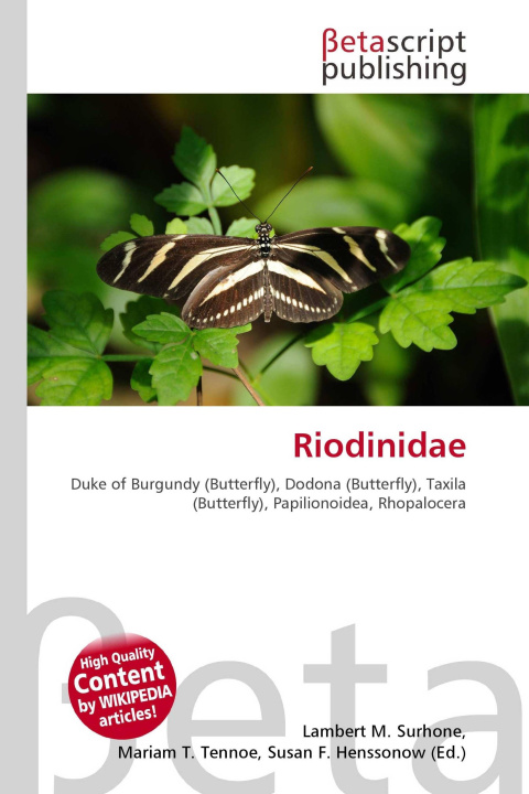Kniha Riodinidae Mariam T. Tennoe