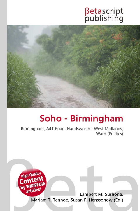 Kniha Soho - Birmingham Mariam T. Tennoe