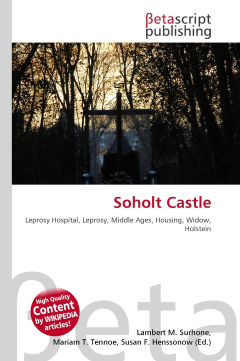 Kniha Soholt Castle Mariam T. Tennoe