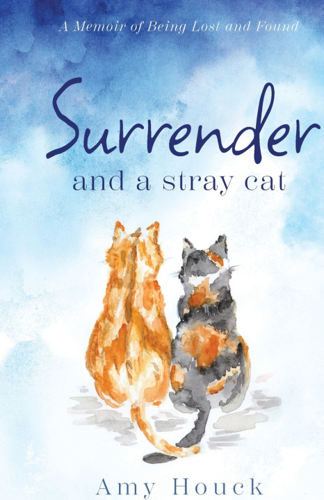 Kniha Surrender and A Stray Cat Amy Houck