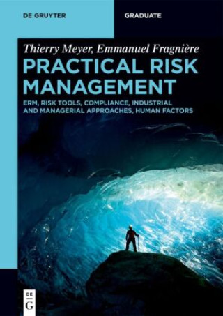 Kniha Practical Risk Management Thierry Meyer