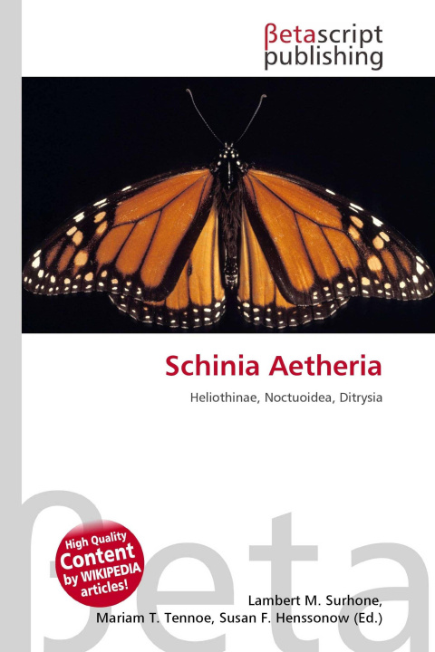 Kniha Schinia Aetheria Mariam T. Tennoe