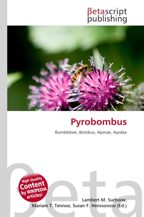 Kniha Pyrobombus Mariam T. Tennoe
