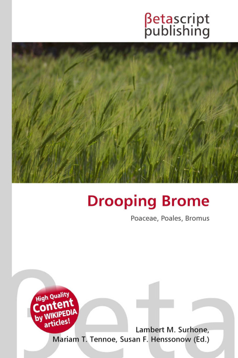 Kniha Drooping Brome Mariam T. Tennoe