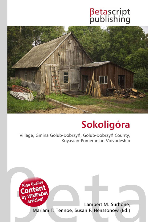 Kniha Sokoligóra Mariam T. Tennoe