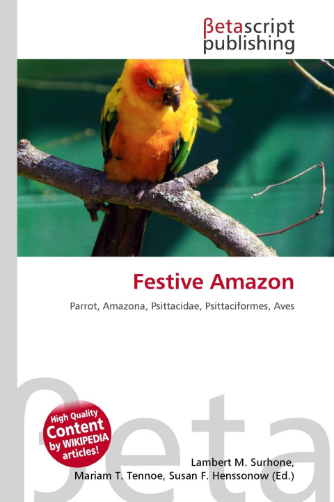 Kniha Festive Amazon Mariam T. Tennoe