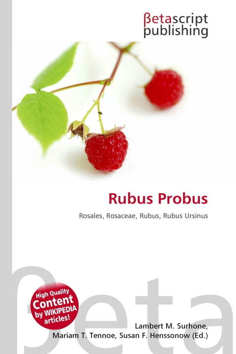 Kniha Rubus Probus Mariam T. Tennoe