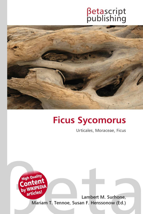 Kniha Ficus Sycomorus Mariam T. Tennoe