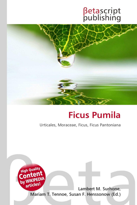 Kniha Ficus Pumila Mariam T. Tennoe