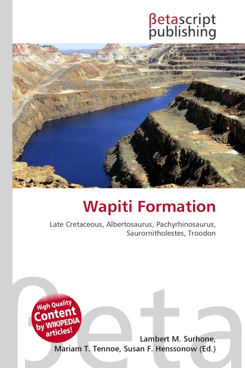 Kniha Wapiti Formation Mariam T. Tennoe