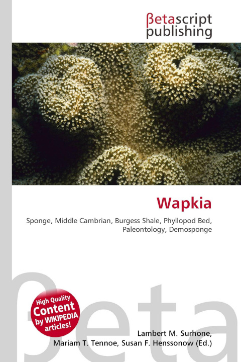 Kniha Wapkia Mariam T. Tennoe