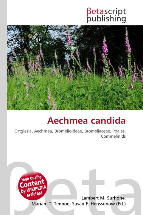Kniha Aechmea candida Mariam T. Tennoe