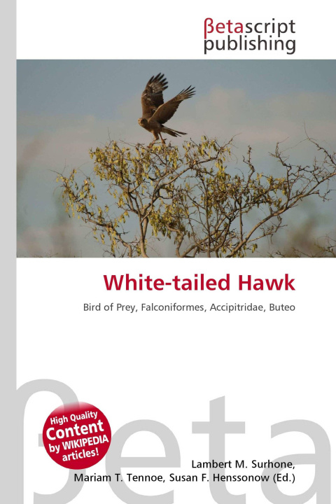 Knjiga White-tailed Hawk Mariam T. Tennoe